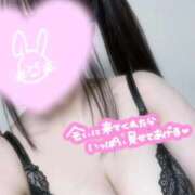 ヒメ日記 2026/04/07 20:07 投稿 るい いわき小名浜ちゃんこ