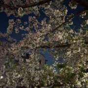 ヒメ日記 2026/04/03 15:10 投稿 まほ ビアガーデンカーニバル