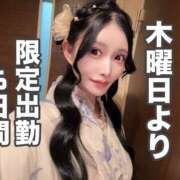 ヒメ日記 2025/08/07 11:04 投稿 せしる☆SWEET Club ACE ～クラブエース～ 山口店