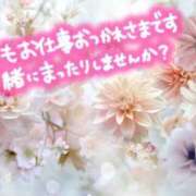 ヒメ日記 2025/04/16 08:31 投稿 あさみ 奥様の実話 梅田店