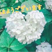 ヒメ日記 2025/04/24 09:02 投稿 あさみ 奥様の実話 梅田店