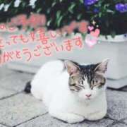 ヒメ日記 2025/04/25 08:59 投稿 あさみ 奥様の実話 梅田店