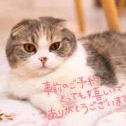 ヒメ日記 2025/04/28 08:31 投稿 あさみ 奥様の実話 梅田店