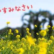 ヒメ日記 2025/04/28 20:04 投稿 あさみ 奥様の実話 梅田店