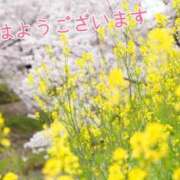 ヒメ日記 2025/05/01 08:35 投稿 あさみ 奥様の実話 梅田店