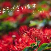 ヒメ日記 2025/05/03 09:45 投稿 あさみ 奥様の実話 梅田店
