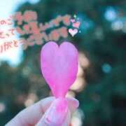 ヒメ日記 2025/05/04 08:02 投稿 あさみ 奥様の実話 梅田店