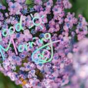 ヒメ日記 2025/05/05 08:34 投稿 あさみ 奥様の実話 梅田店