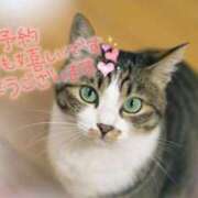 ヒメ日記 2025/05/08 08:30 投稿 あさみ 奥様の実話 梅田店