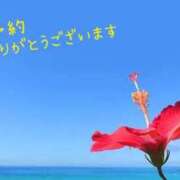 ヒメ日記 2025/05/11 09:04 投稿 あさみ 奥様の実話 梅田店