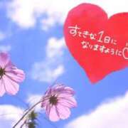 ヒメ日記 2025/05/15 08:31 投稿 あさみ 奥様の実話 梅田店