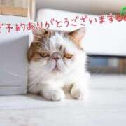 ヒメ日記 2025/05/19 08:39 投稿 あさみ 奥様の実話 梅田店