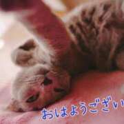 ヒメ日記 2025/05/22 08:53 投稿 あさみ 奥様の実話 梅田店