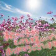 ヒメ日記 2025/05/25 08:31 投稿 あさみ 奥様の実話 梅田店