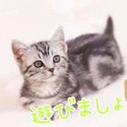 ヒメ日記 2025/05/25 11:36 投稿 あさみ 奥様の実話 梅田店