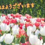 ヒメ日記 2025/05/26 08:29 投稿 あさみ 奥様の実話 梅田店