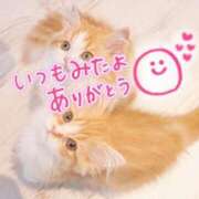 ヒメ日記 2025/05/29 08:30 投稿 あさみ 奥様の実話 梅田店