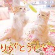 ヒメ日記 2025/05/31 20:02 投稿 あさみ 奥様の実話 梅田店