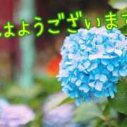 ヒメ日記 2025/06/01 08:15 投稿 あさみ 奥様の実話 梅田店