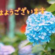 ヒメ日記 2025/06/04 08:27 投稿 あさみ 奥様の実話 梅田店