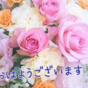 ヒメ日記 2025/06/06 08:09 投稿 あさみ 奥様の実話 梅田店