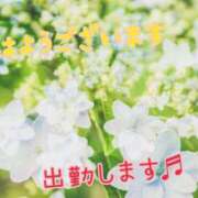 ヒメ日記 2025/06/11 08:27 投稿 あさみ 奥様の実話 梅田店