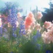 ヒメ日記 2025/06/21 19:19 投稿 あさみ 奥様の実話 梅田店