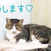 ヒメ日記 2025/06/25 08:22 投稿 あさみ 奥様の実話 梅田店