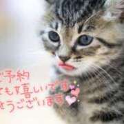 ヒメ日記 2025/06/29 08:01 投稿 あさみ 奥様の実話 梅田店