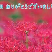 ヒメ日記 2025/07/01 19:09 投稿 あさみ 奥様の実話 梅田店