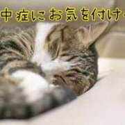 ヒメ日記 2025/07/07 08:30 投稿 あさみ 奥様の実話 梅田店