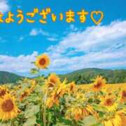 ヒメ日記 2025/07/16 08:30 投稿 あさみ 奥様の実話 梅田店