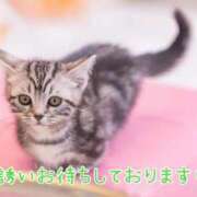 ヒメ日記 2025/07/30 09:01 投稿 あさみ 奥様の実話 梅田店