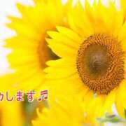 ヒメ日記 2025/08/13 08:30 投稿 あさみ 奥様の実話 梅田店