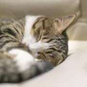 ヒメ日記 2025/09/04 06:42 投稿 あさみ 奥様の実話 梅田店