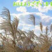 ヒメ日記 2025/09/18 08:17 投稿 あさみ 奥様の実話 梅田店