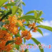 ヒメ日記 2025/10/06 08:17 投稿 あさみ 奥様の実話 梅田店