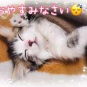 ヒメ日記 2025/10/15 20:51 投稿 あさみ 奥様の実話 梅田店