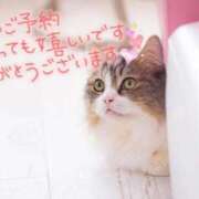 ヒメ日記 2025/11/02 08:13 投稿 あさみ 奥様の実話 梅田店