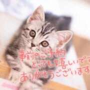 ヒメ日記 2025/11/12 08:23 投稿 あさみ 奥様の実話 梅田店