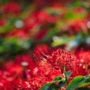 ヒメ日記 2025/11/17 07:50 投稿 あさみ 奥様の実話 梅田店