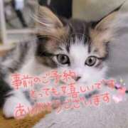 ヒメ日記 2025/12/07 08:35 投稿 あさみ 奥様の実話 梅田店