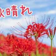 ヒメ日記 2026/09/13 08:31 投稿 あさみ 奥様の実話 梅田店