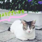 ヒメ日記 2026/09/14 09:02 投稿 あさみ 奥様の実話 梅田店