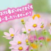 ヒメ日記 2026/09/21 08:34 投稿 あさみ 奥様の実話 梅田店