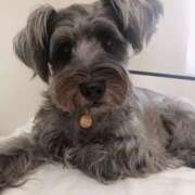 ヒメ日記 2025/05/07 07:25 投稿 早紀(サキ) 翡翠の夢