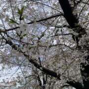 ヒメ日記 2025/04/02 22:11 投稿 さき 錦糸町人妻セレブリティ（ユメオト）