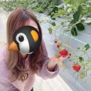 ヒメ日記 2025/04/03 16:19 投稿 さき 錦糸町人妻セレブリティ（ユメオト）