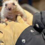 ヒメ日記 2025/05/25 10:50 投稿 さき 錦糸町人妻セレブリティ（ユメオト）