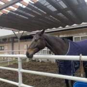 ヒメ日記 2025/05/25 22:06 投稿 さき 錦糸町人妻セレブリティ（ユメオト）